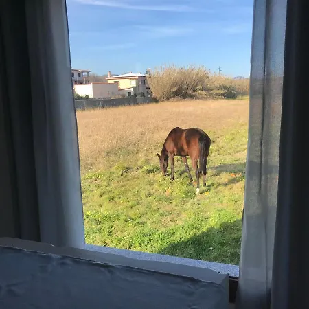 Domo Baronia Apartamento Orosei